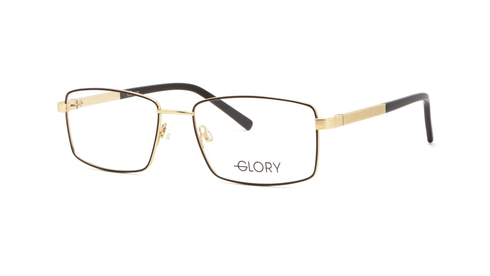 oprava-dlya-okulyariv-glory-148-gold (1)
