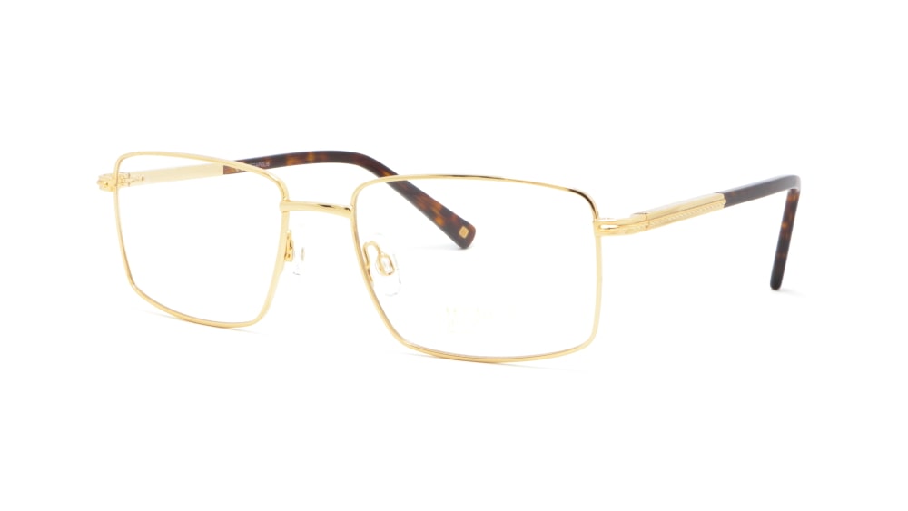 oprava-dlya-okulyariv-megapolis-936-gold (1)