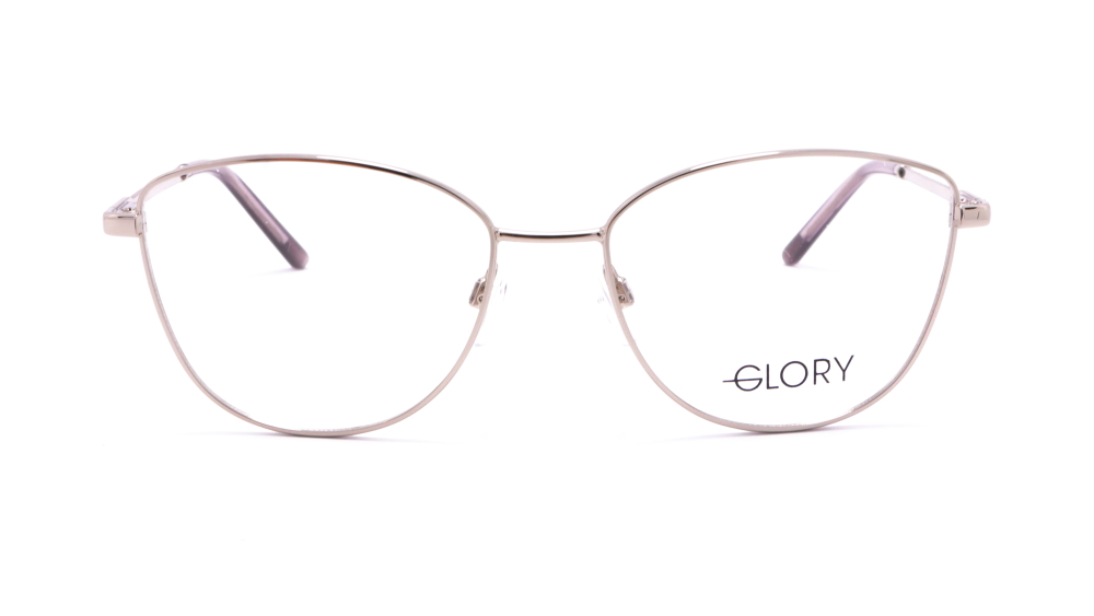 oprava-dlya-okulyariv-glory-423-silver-1