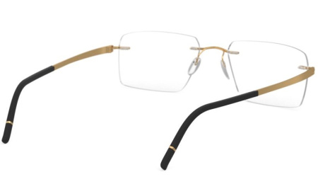 Зображення 5: Оправа для окулярів Silhouette 5529 7520 17/145