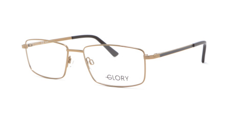 Изображение 1: Оправа для очков GLORY 216 BROWN 55