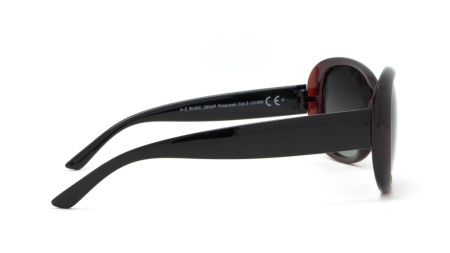 Зображення 3: Сонцезахисні окуляри BASIC 290 A Pol