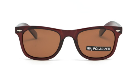 Зображення 8: Сонцезахисні окуляри BASIC 044 A Pol