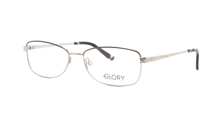 Изображение 1: Оправа для очков GLORY 290 SILVER 55