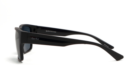 Зображення 3: Сонцезахисні окуляри StyleMark L2621 C 58
