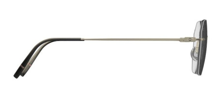 Изображение 5: Оправа для очков Silhouette 5593 6660 17/145