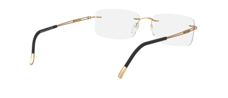 Зображення 5: Оправа для окулярів Silhouette 5521 7530 19/145