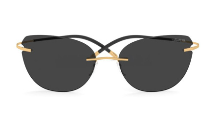 Зображення 4: Сонцезахисні окуляри Silhouette 8175 7620 60