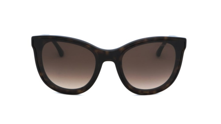Зображення 4: Сонцезахисні окуляри EMPORIO ARMANI EA 4125 5089/13 61