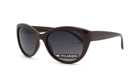 Зображення 1: Сонцезахисні окуляри BASIC 230 A Pol