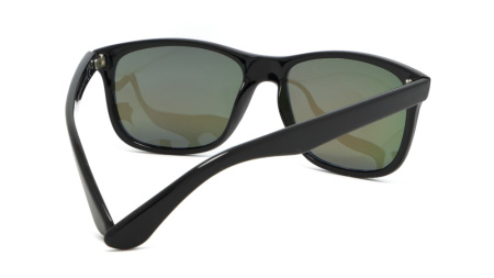 Зображення 5: Сонцезахисні окуляри ICONS 8100 B Pol