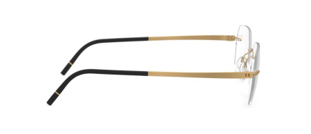 Зображення 10: Оправа для окулярів Silhouette 5529 7520 19/145