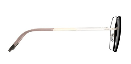 Зображення 5: Оправа для окулярів Silhouette 5540 8640 17/140