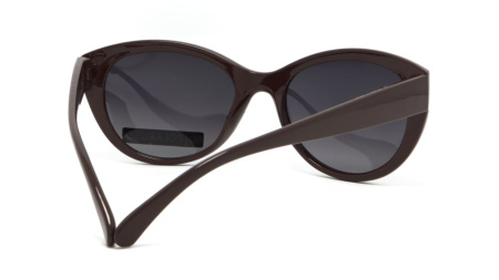 Зображення 5: Сонцезахисні окуляри BASIC 230 A Pol