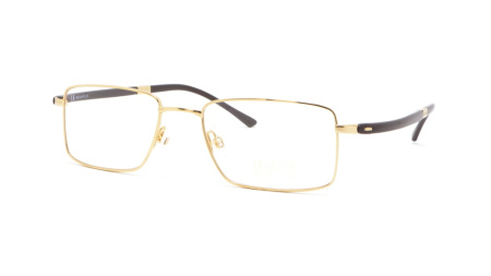 Зображення 1: Оправа для окулярів MEGAPOLIS Premium 903 GOLD 54