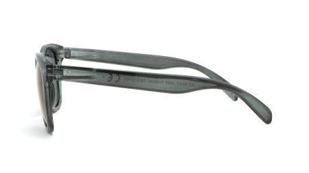 Зображення 3: Сонцезахисні окуляри BASIC 090 B Pol