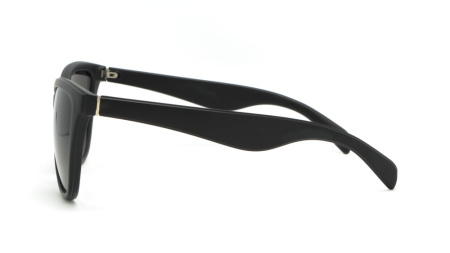 Зображення 3: Сонцезахисні окуляри ICONS 2250 B