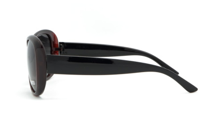 Зображення 2: Сонцезахисні окуляри BASIC 290 A Pol