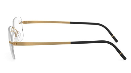 Зображення 4: Оправа для окулярів Silhouette 5529 7520 17/145