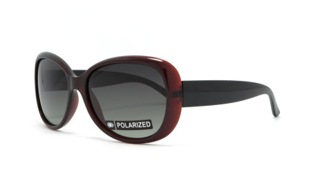 Зображення 1: Сонцезахисні окуляри BASIC 290 A Pol