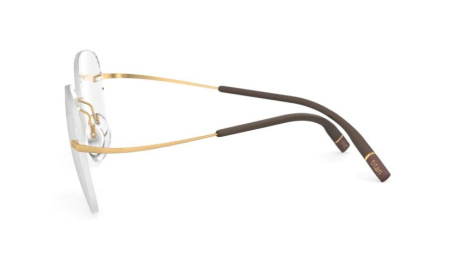 Зображення 4: Оправа для окулярів Silhouette 5541 7520 19/145