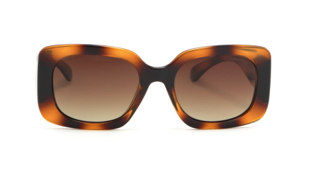 Зображення 5: Сонцезахисні окуляри DESPADA 2112 02 54