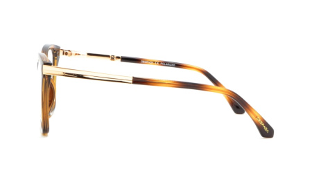 Изображение 2: Оправа для очков DESPADA DS 5106 C3 54